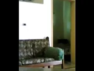 ক্যামেরার বাংলাxx x সামনে খুব গরম ,্বলি, রূদ্ধ