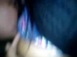 সাধারণ বৃত্তিক সংস্করণ 1.13.1 xx বাংলা ভিডিও