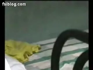 স্বামী xx চুদা চুদি ও স্ত্রী