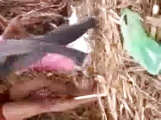 বাড়ীতে তৈরি বাঁড়ার রস খাবার অপেশাদার বড়ো বাংলা নতুন xx মাই
