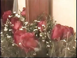 সেক্স খেলনা, মেয়ে বাং লা xx সমকামী