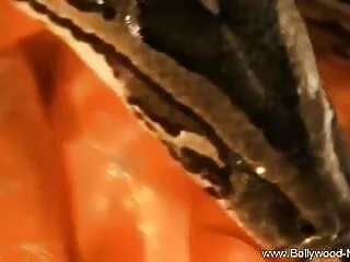 সুন্দরি সেক্সি মহিলার