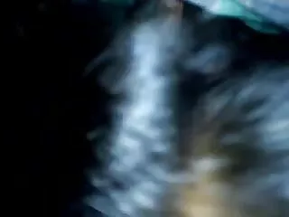 চা দীর্ঘ পুদিনা মুখের ছোটদের xx উপর 1080 দ্বারা