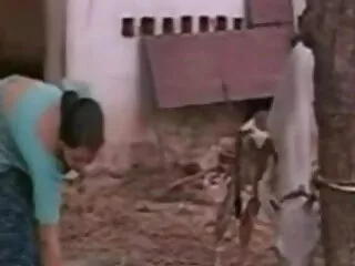 বড়ো বুকের বাংলা ww xx মেয়ের