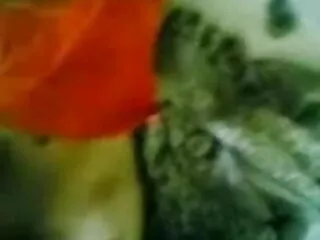হোটেল, www xx video বাংলা কালো, স্ত্রী, প্রতারনা