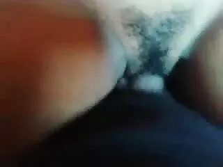 উন্নয়ন অধীনে নতুন বাংলা xx