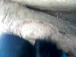 বমি এবং বাংলা ছবি xx বীট আবরণ